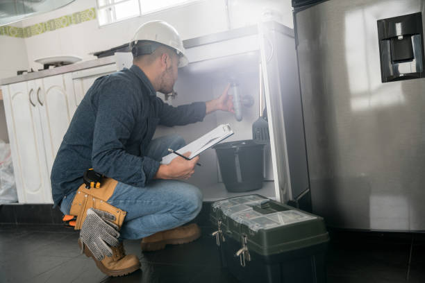 Best Local Plumber Services  in De Soto, MO