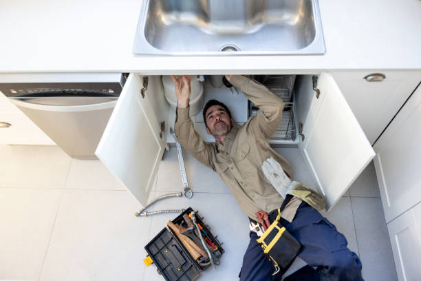 Best Toilet Repair Services  in De Soto, MO