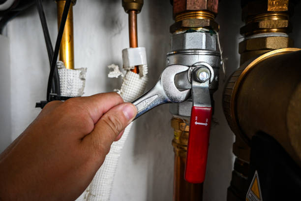 Best Shower Repair Services  in De Soto, MO